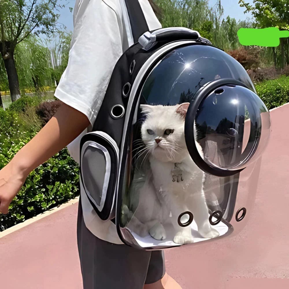Visão Panorâmica Mochila Bolsa Pet Astronauta Color Gato Ou Cachorro Backpack Airline Respirável