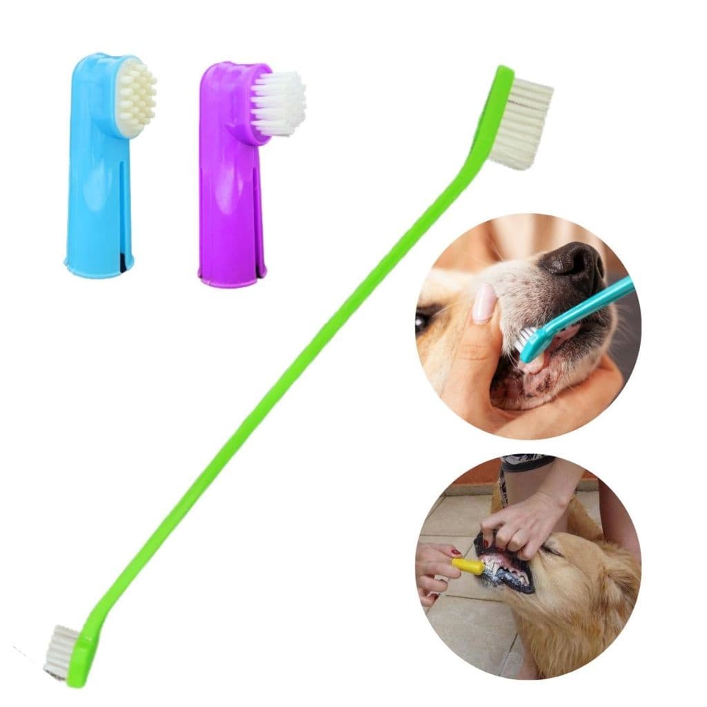 Kit Escova Dental Dupla E Escova Tipo Dedal Para Pets Como escovar o dente do cachorro ou gato