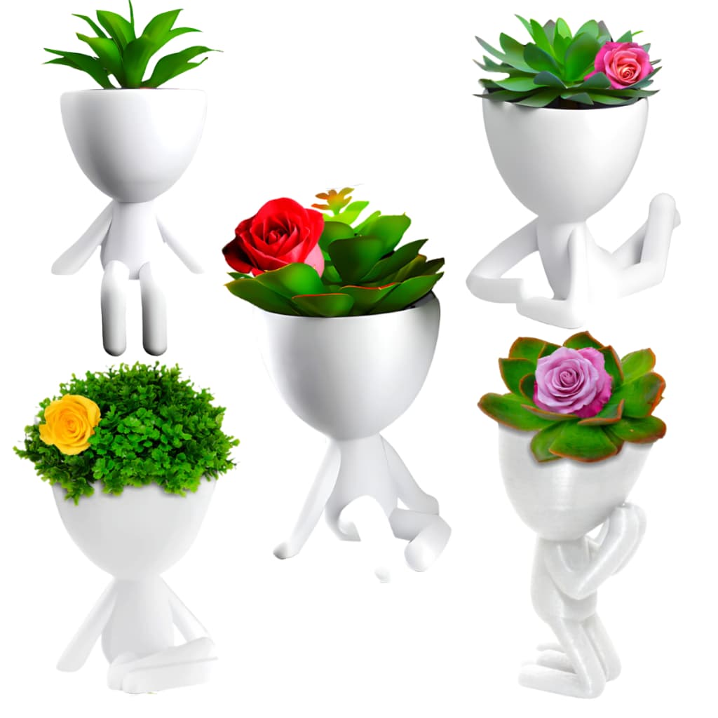 Kit Vasinhos Decorativo Robert Plant Bob Para Suculentas Cores Variadas