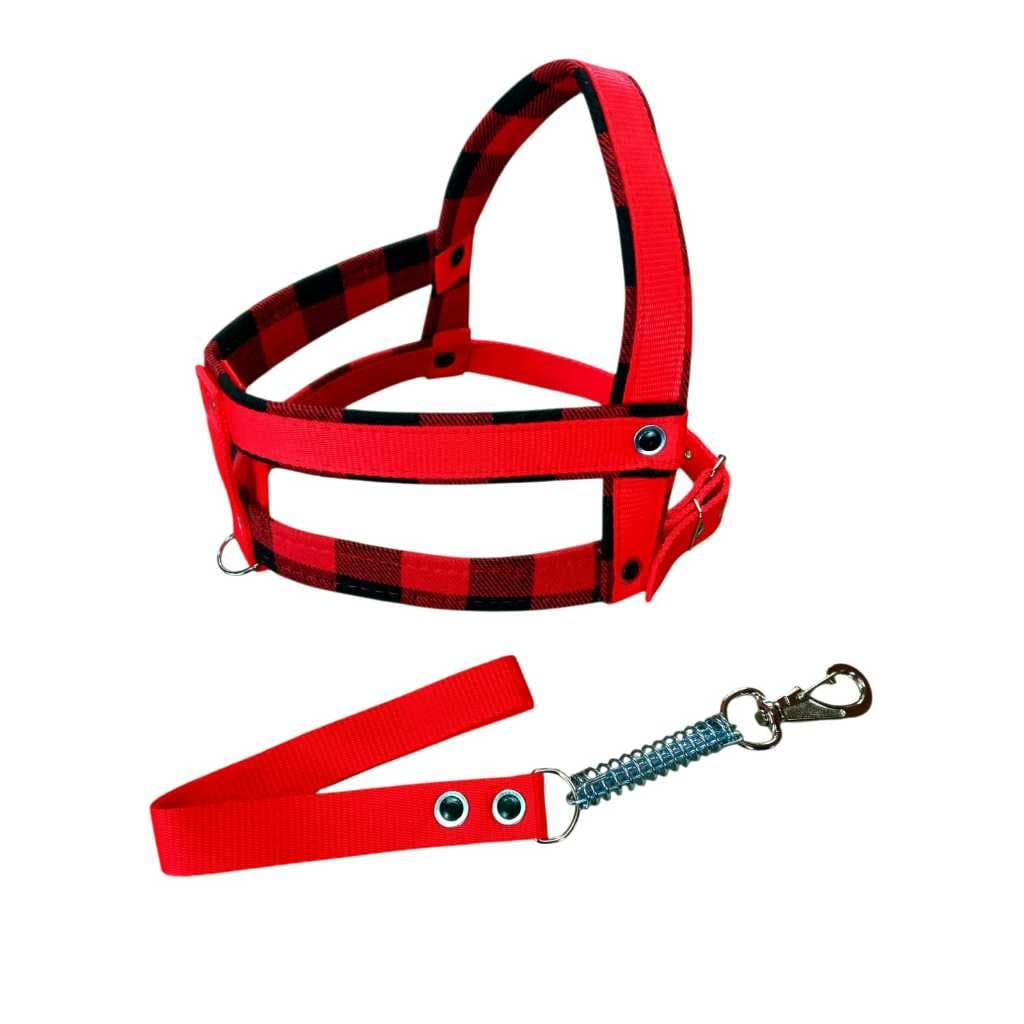 coleira peitoral peitoral cachorro peitoral para cachorro peitoral cachorro grande peitoral com guia coleira reforçada c