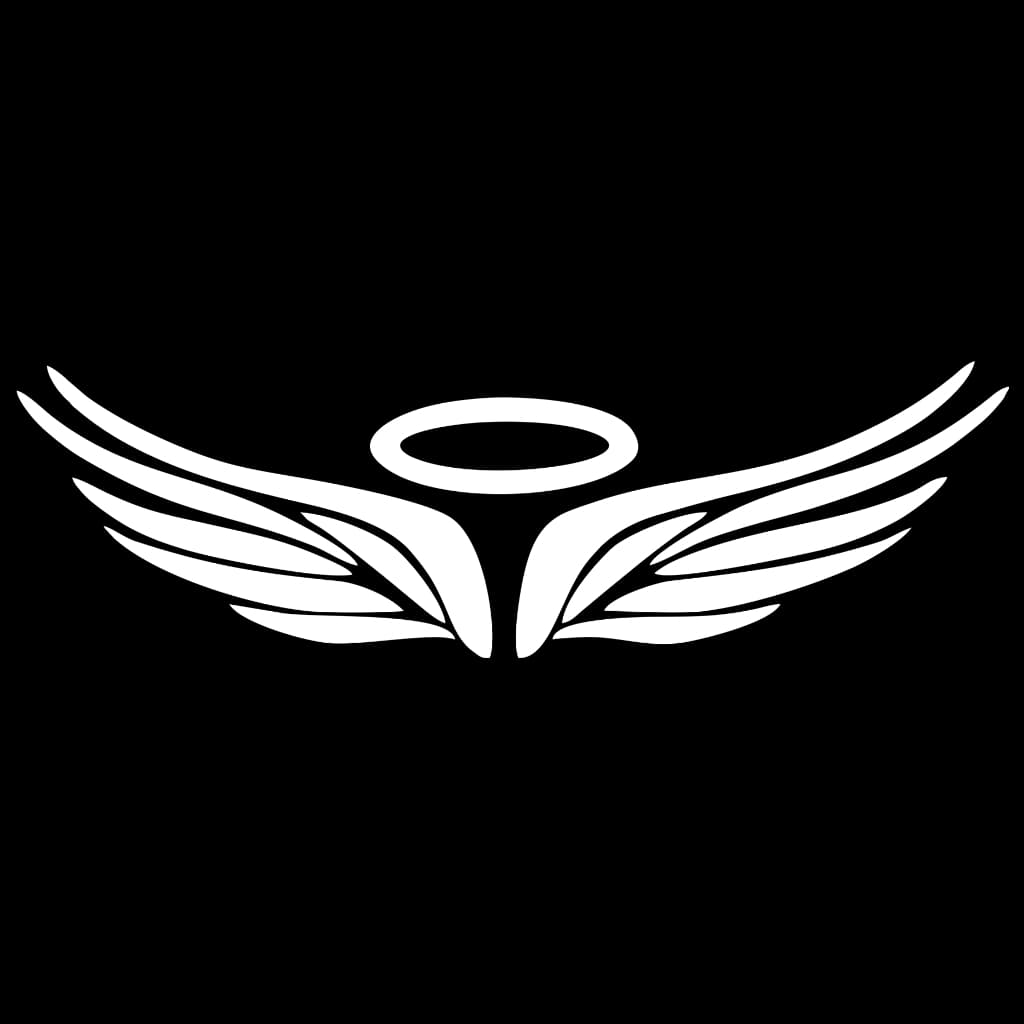 Adesivo Asa Universal Anjo Painel Carro Moto Caminhão