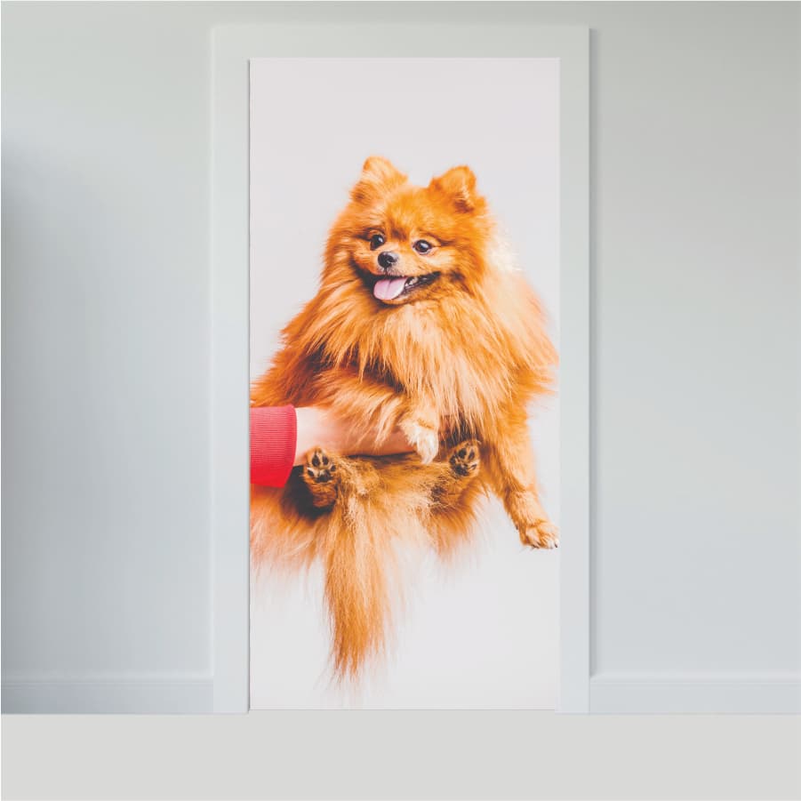 Adesivo para Portas de Madeira ou Vidro Papel de Parede Decoração Cachorro Pet Petshop Veterinario - CACHORRO AN0.005