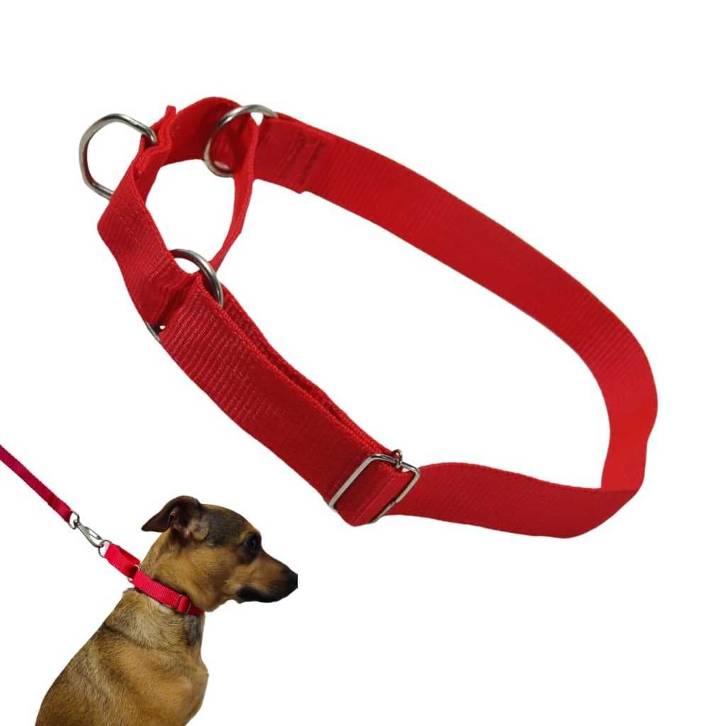 Coleira Enforcador Anti-Puxão Com Regulagem Cães Pequeno Médio Porte Adestramento Pet Passeio Seguro