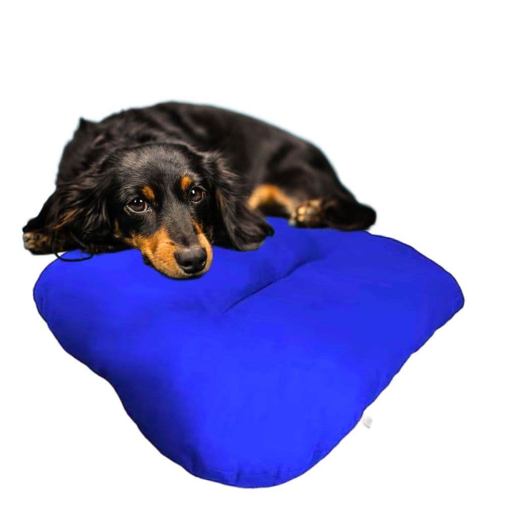Almofada Pet Fábrica Pet Para Cães e Gatos Macia