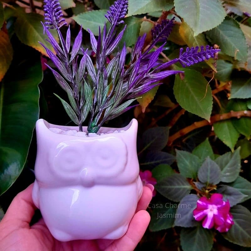 Vaso Cachepoo Coruja Mini Cerâmica Esmaltada Para Suculentas Plantinhas Casa Jardim Festas Decoração Decorativo