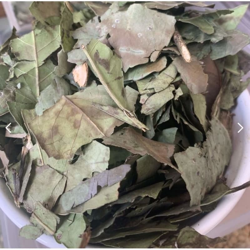 Chá Verde Puro Natural do Norte de Minas Gerais 30g