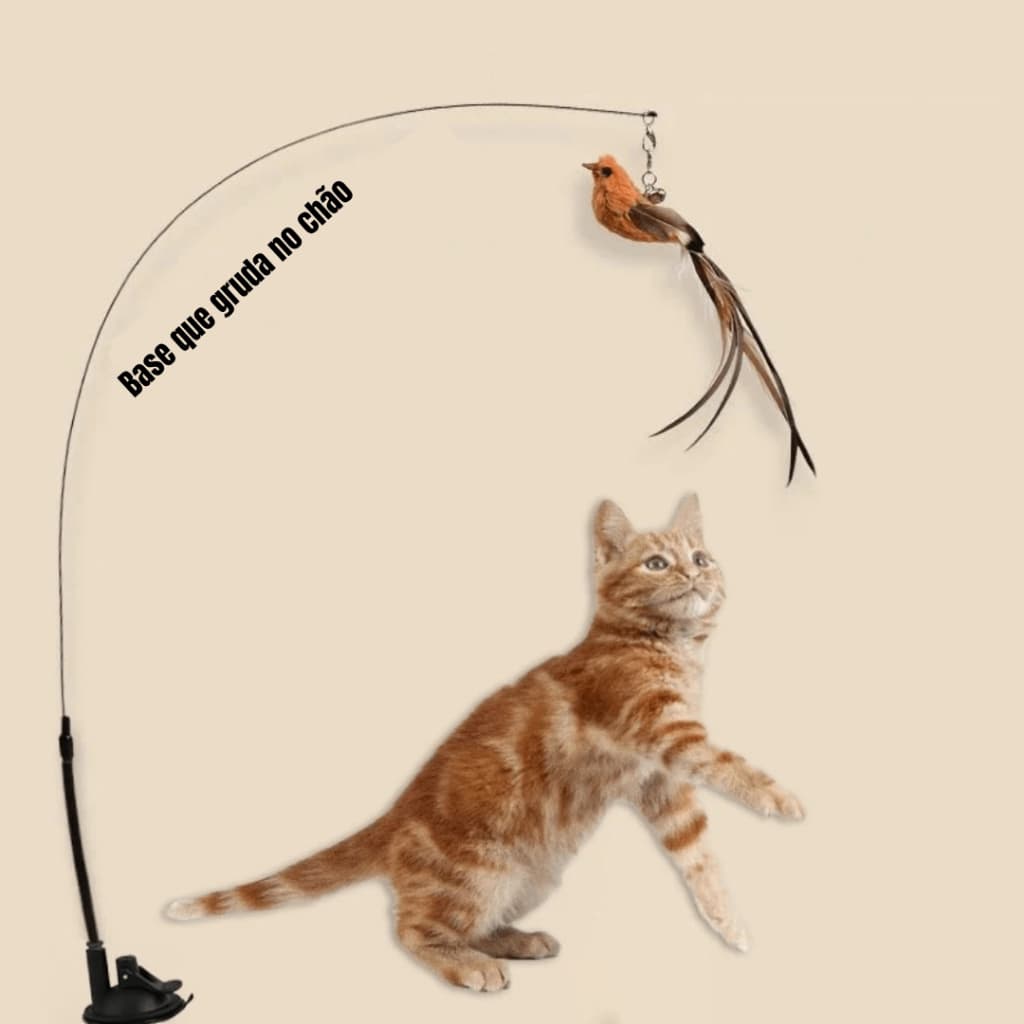Brinquedo Gato Varinha Com Ventosa Pássaro Penas Fixa no Chão Divertidos Gatos Adoram