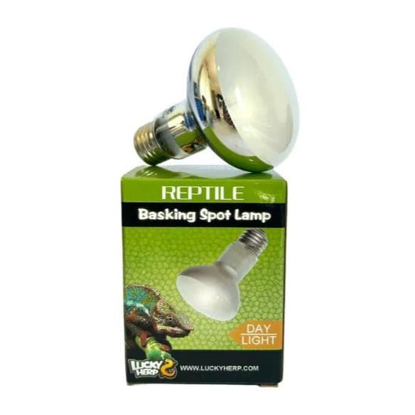 Lâmpada Aquecimento Luz Diurna 50w e 100w p/ Repteis - Lucky Herp