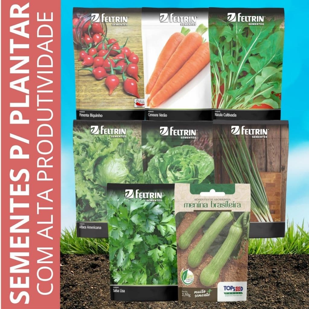 Kit Pacotes de Sementes de Hortaliças, Verduras, Pimentas, Ervas, Flores, Frutas, Temperos