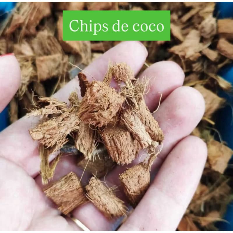 Chip de Coco Orquídeas Flores Plantas Drenagem 1,5L ate 40 Litros
