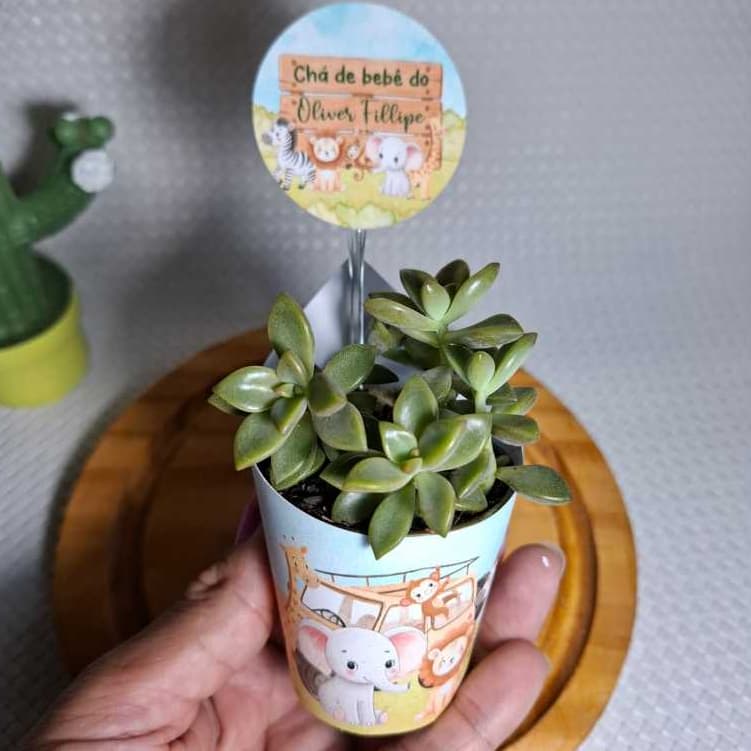 kit 20 Rótulo com Tag para Mini Suculenta Personalizado - Vaso Nº6 - Personalizamos em qualquer tema