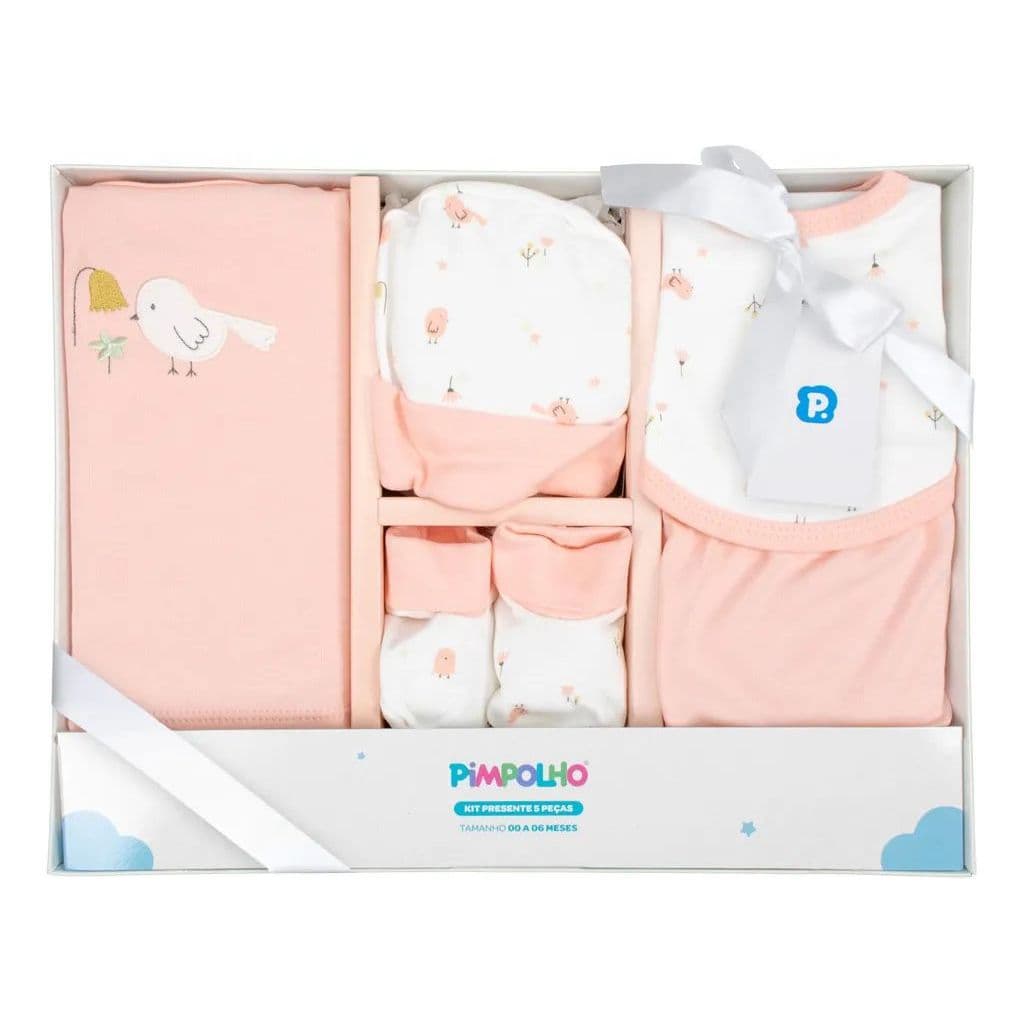 Kit Presente 5 Peças 0 a 6 Meses Feminino Pimpolho Rosa