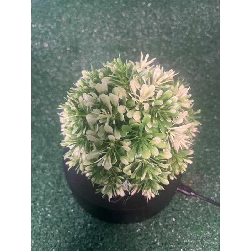 Planta Artificial aquário Balls Verde Lindíssima