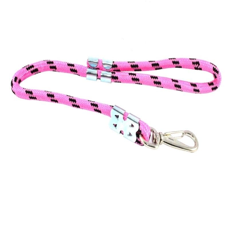 guia para cachorro kit com 10 coleira guia cachorro