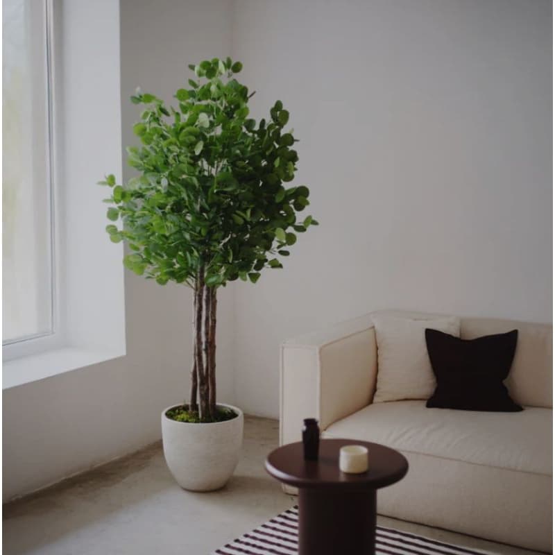 planta eucalipto artificial 1.20 metros o vaso não acompanha