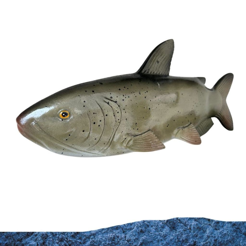 Peixe Grande Em Resina Decoração Parede Cat Fish Bagre