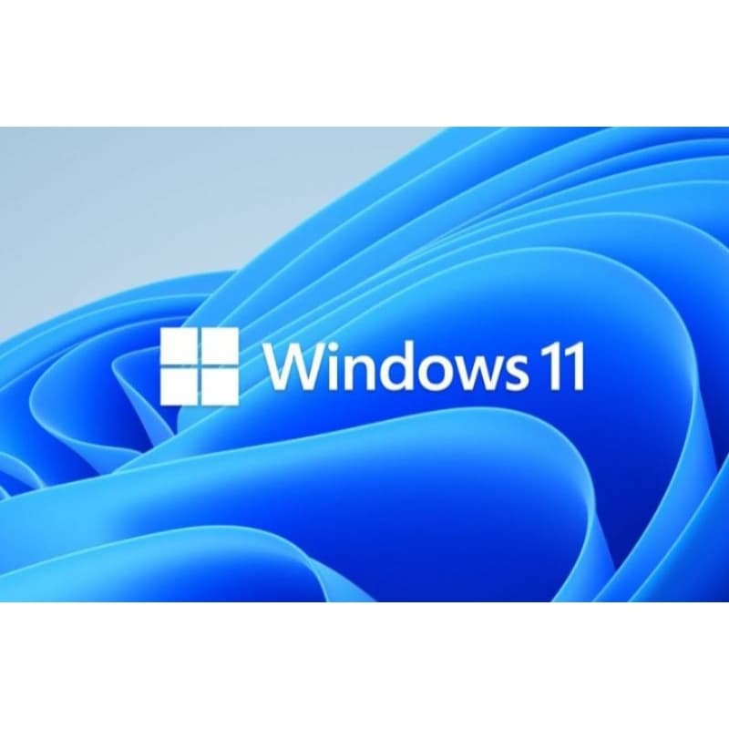 windows 11