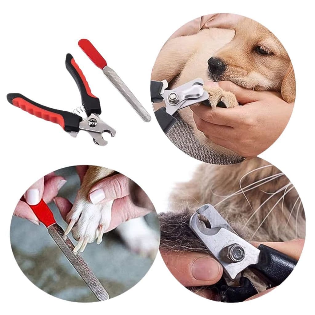 Kit Cortador Alicate + Lixa De Unha Gatos E Cães Grande Alicate Cortador de Unha Pet para Cachorro Higiene