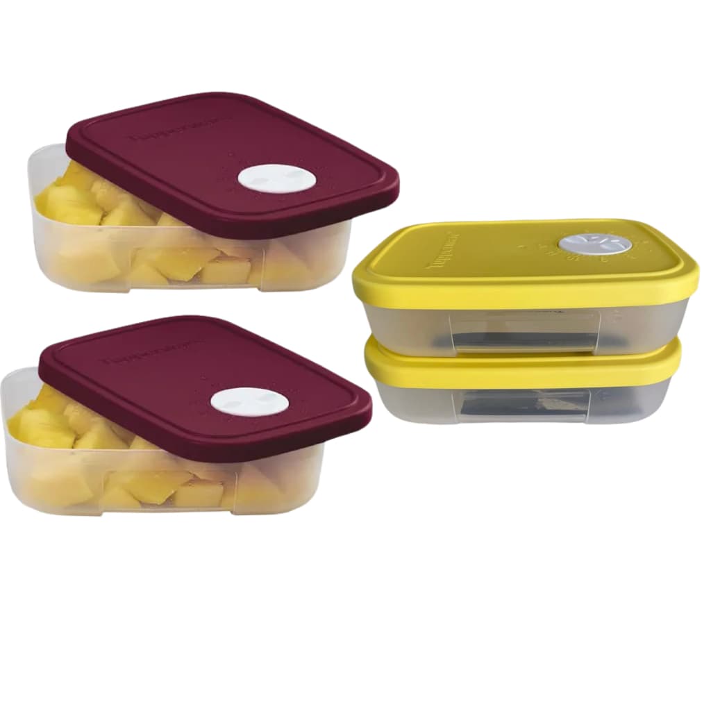 Tupperware Freezertime 300ml 2 Peças