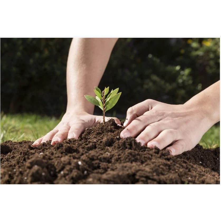 Saco de Terra Adubada 1kg - Horta - Plantas - Jardim - Vasos - Suculenta