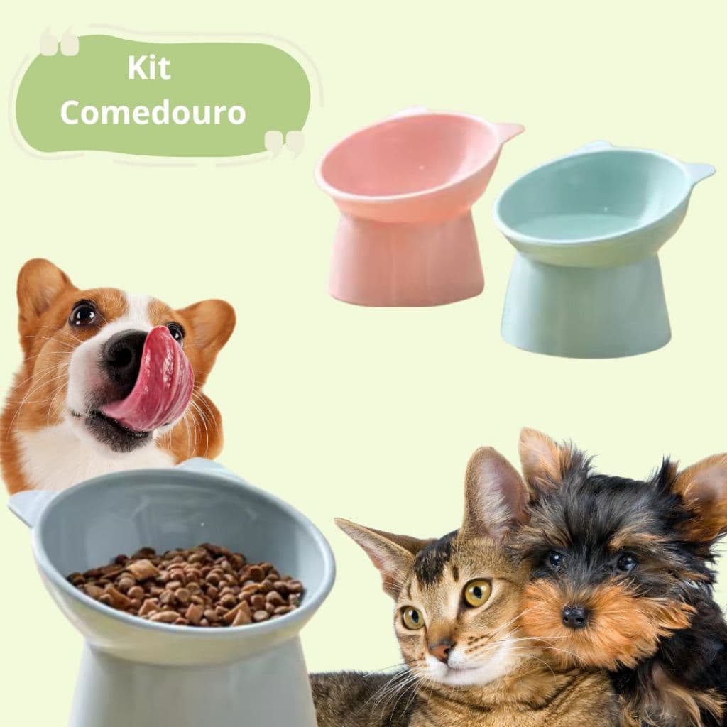 Kit  Bebedouro Comedouro Elevado - Anti Engasgo Inclinado - Pet Gato Cachorro