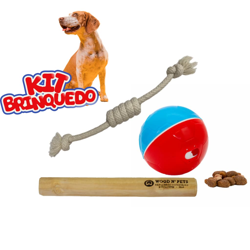 Brinquedos para Cães Interativo: Diversão e Cuidados para Seu Pet Porte Médio