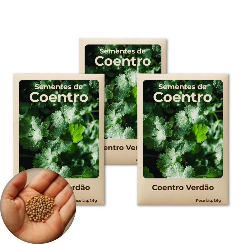 Sementes de Coentro Verdão Para Hortas Domésticas, Rende Muito E É Fácil De Cultivar - Combo 3 Pct