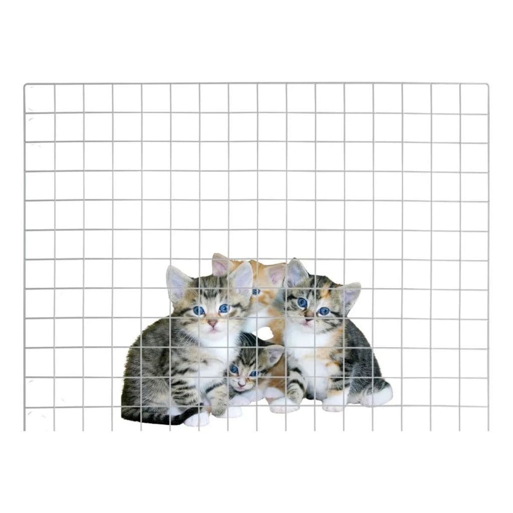 KIt Tela Memory Board 60x80cm + 4 Fixador Adesivo