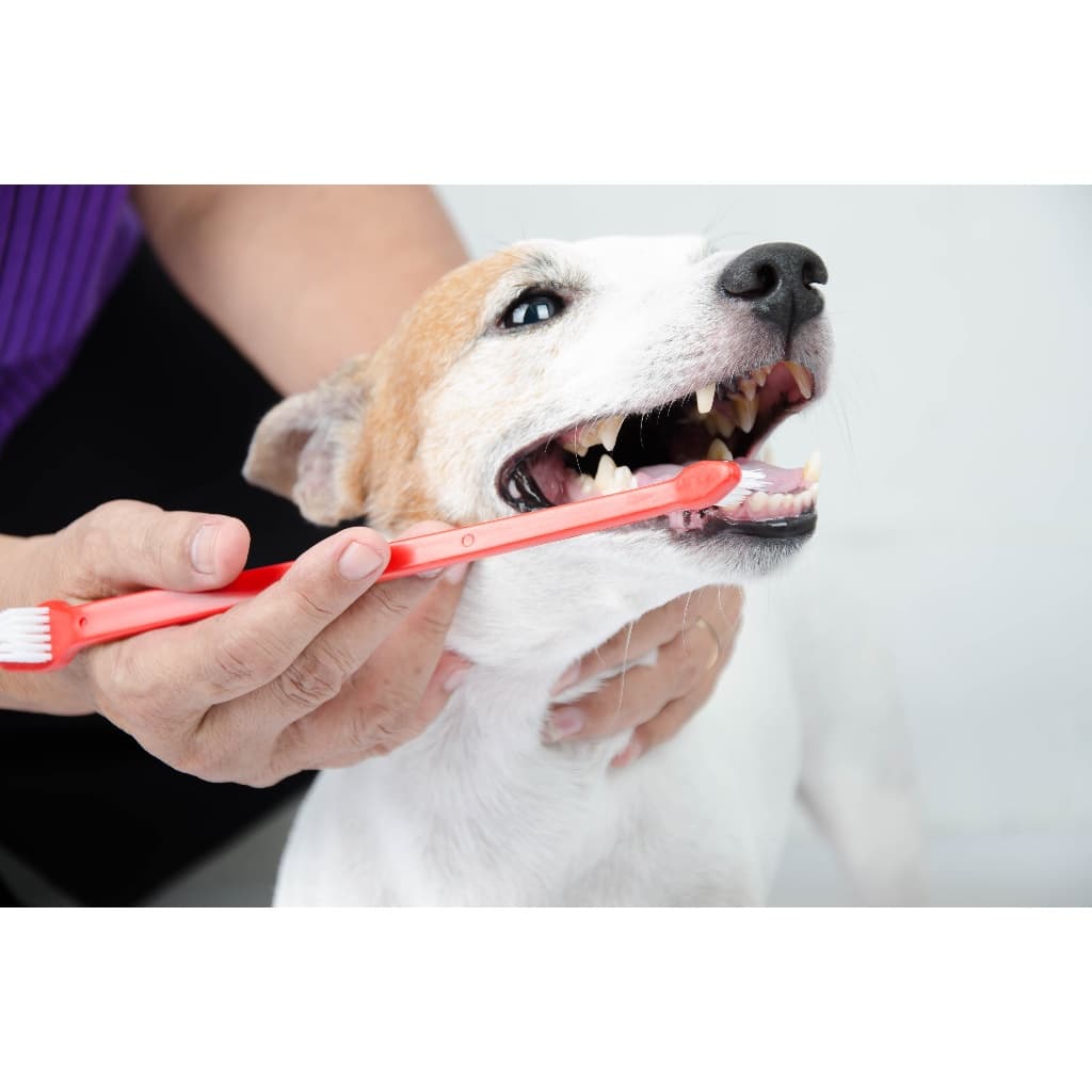 Kit 2 Escova de dentes para Cães e Gatos Savana Pet Escova Dental para Cães Limpeza Tartaro