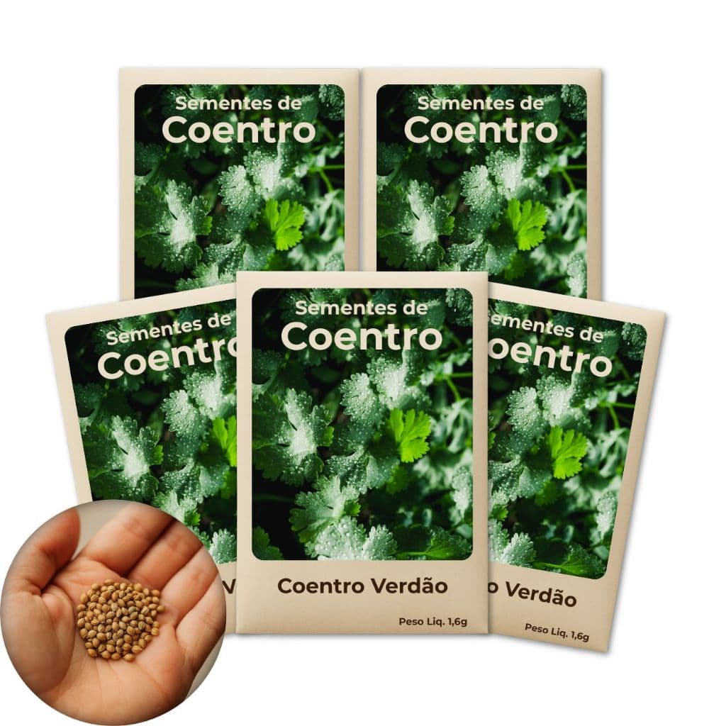 Sementes De Coentro Verdão Ideal Para Hortas Caseiras, Vasos, Jardins e Canteiros - Kit 5Pct