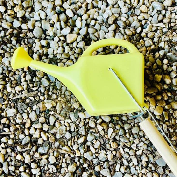 Regador Chuveirinho Cabo de Madeir 1L com Cabo para Plantas Suspensas Hortas Jardim Jardinagem