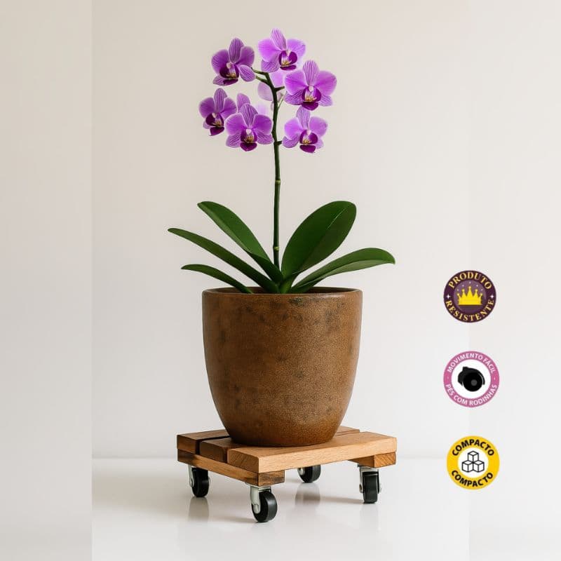 Suporte Base de Madeira com Rodinhas para Vaso de Flor • 20x20cm • Eucalipto Maciço • Até 50kg