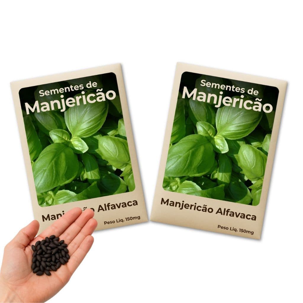Semente de Manjericão Alfavaca Perfeita Para Horta Caseira ou Floreira na Varanda Combo 2 Pacotes