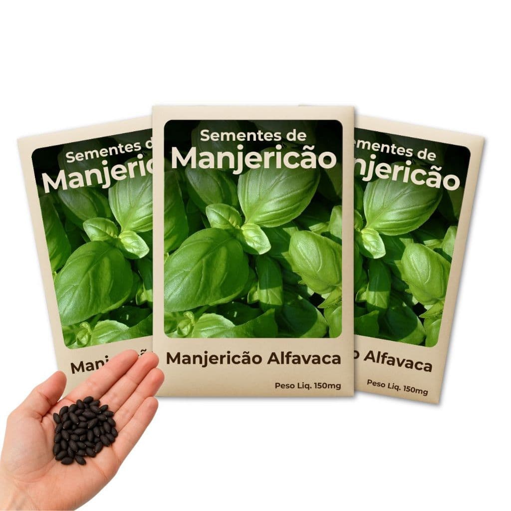 Semente de Manjericão Alfavaca Feltrin Para Culinária e Horta Caseira Leve 3 Pacotes