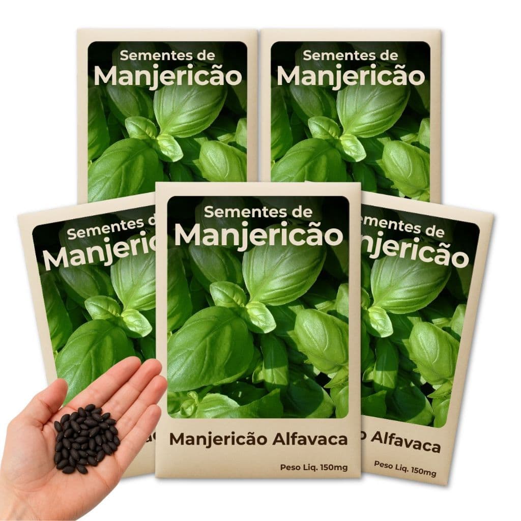 Semente de Manjericão Alfavaca Pronta para Plantio em Horta Orgânica ou Convencional Kit 5 Pacotes