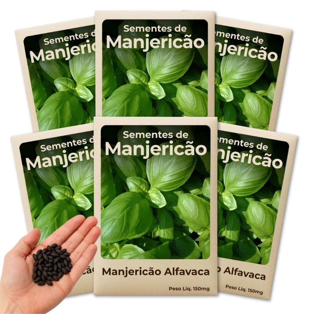 Semente de Manjericão Alfavaca Para Horta Econômica em Espaços Pequenos ou Grandes Kit 6 Pacotes