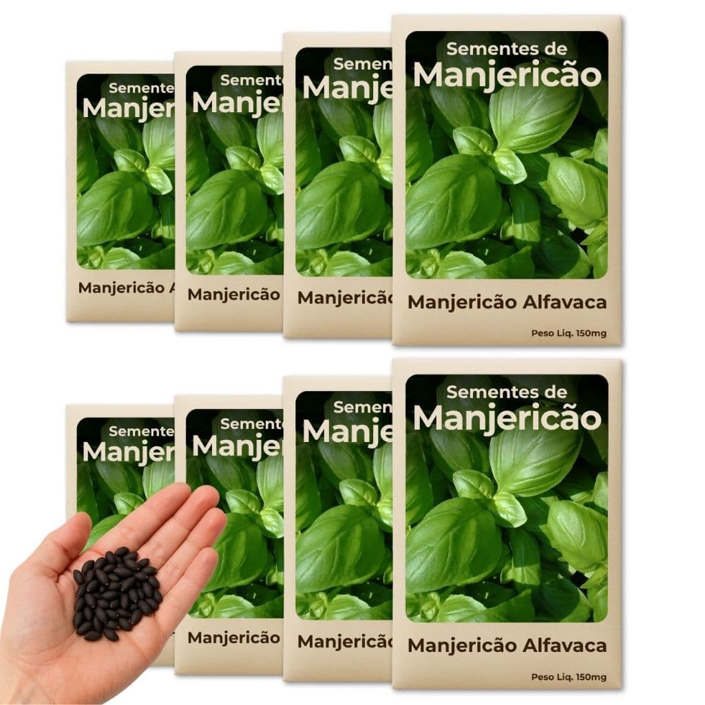 Semente de Manjericão Alfavaca Para Horta Econômica em Espaços Pequenos ou Grandes Kit 8 Pacotes