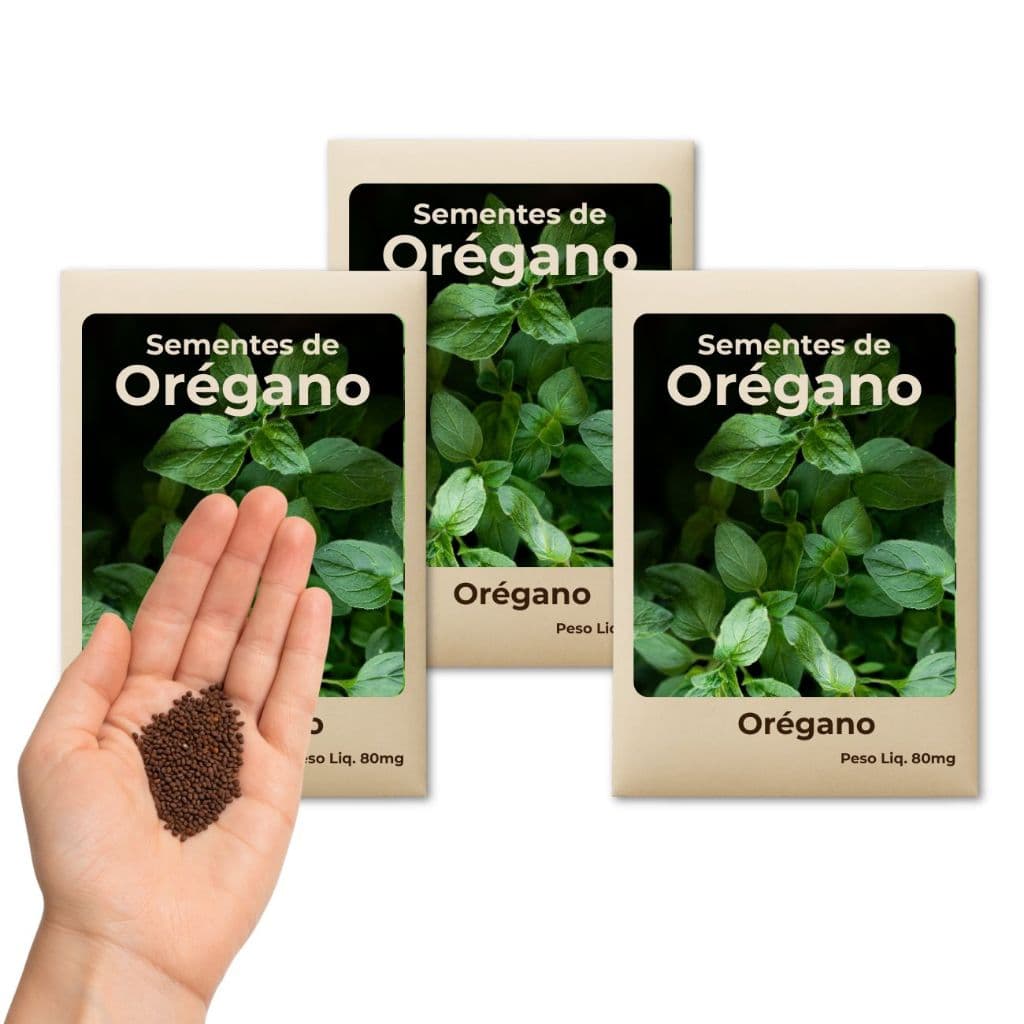 Orégano Sementes De Fácil Plantio – Ideal Para Horta Urbana, Culinária E Jardim - Leve 3 Pct