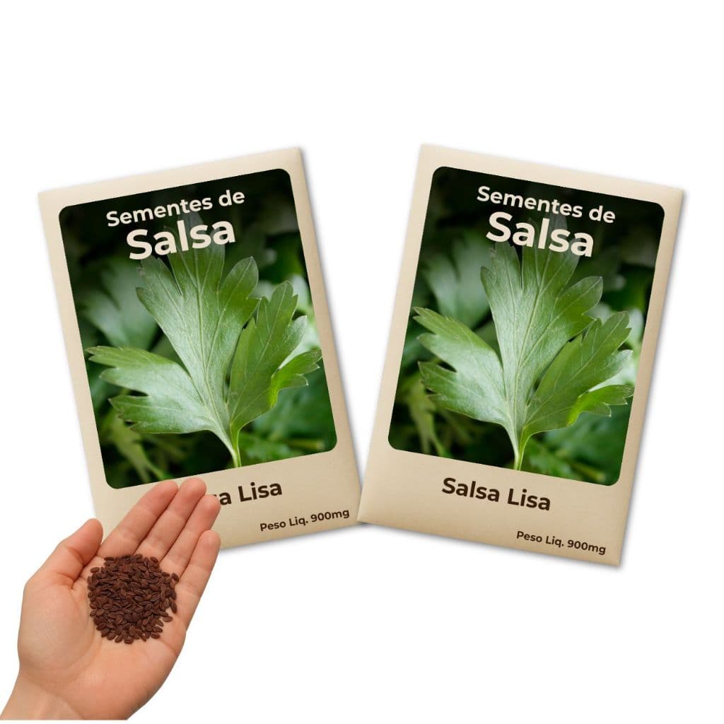 Semente de Salsa Lisa para Temperos Frescos Direto da Sua Horta - Kit 2 Pacotes