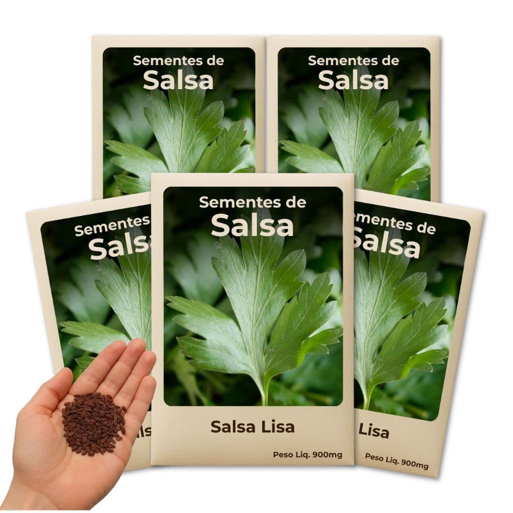 Semente de Salsa Lisa Para Quem Deseja Ter Horta em Casa - Kit 5 Pacotes