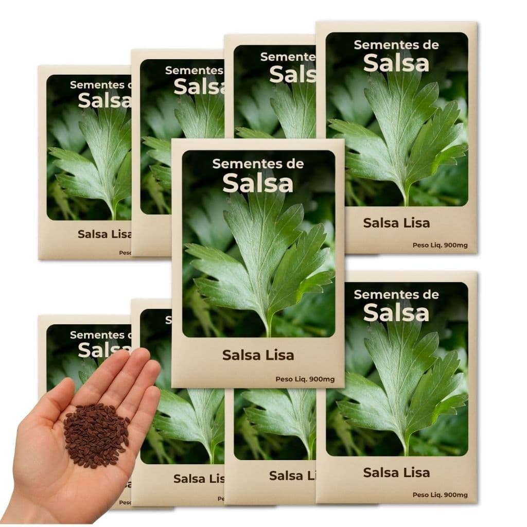 Semente de Salsa Lisa para Temperos Frescos Direto da Sua Horta - Kit 9 Pacotes