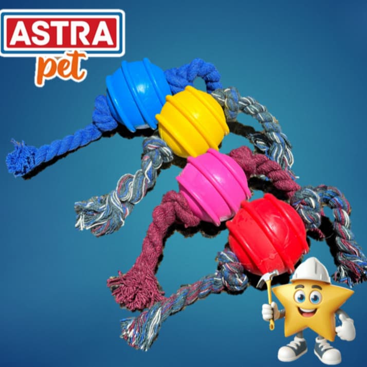 BOLINHA PARA CACHORRO COM CORDA 50mm