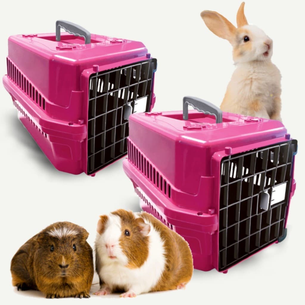 Kit 2 Caixa De Transporte Pet Para Cães Gatos Coelhos N1 - Oferta
