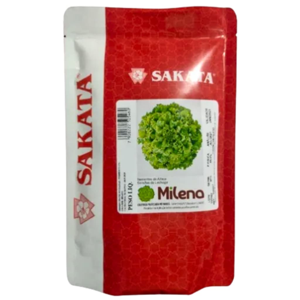 200 Sementes Peletizadas Alface Crespa Milena - SAKATA