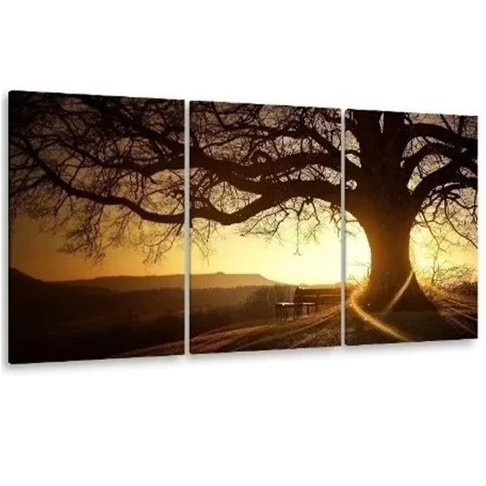 Quadro Decorativo 3 Peças Árvore da Vida Banco Natureza Por do Sol Paisagem