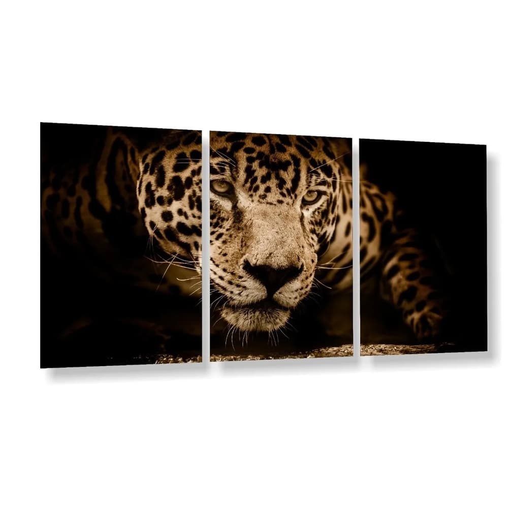 Quadro Decorativo 3 Peças Onça Pintada Jaguar Amazonia Animal Selvagem Natureza Sala Quarto