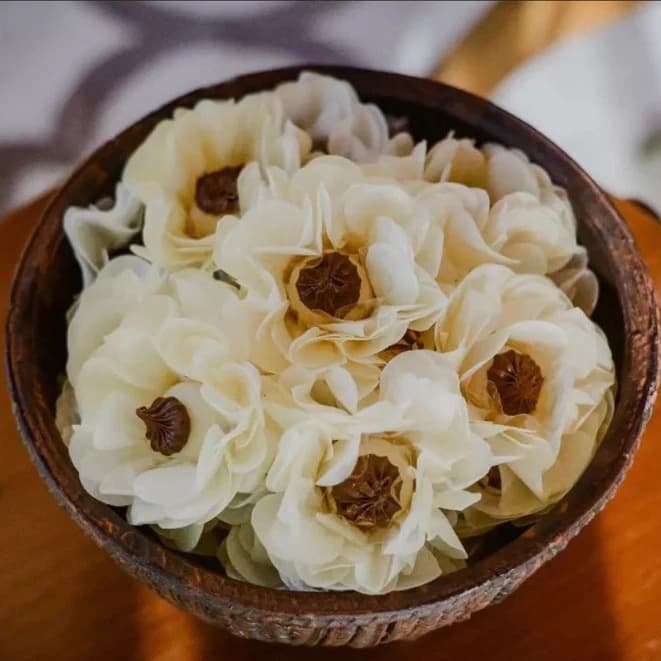 200 Forminhas Para Doces Fino Margarida 10 Pétalas Mais Volumosa