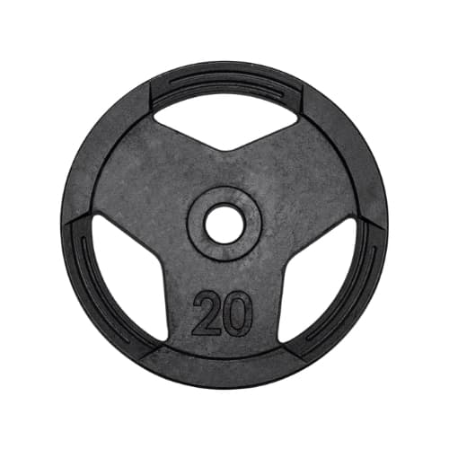 Anilha Olimpica Pintada 20Kg