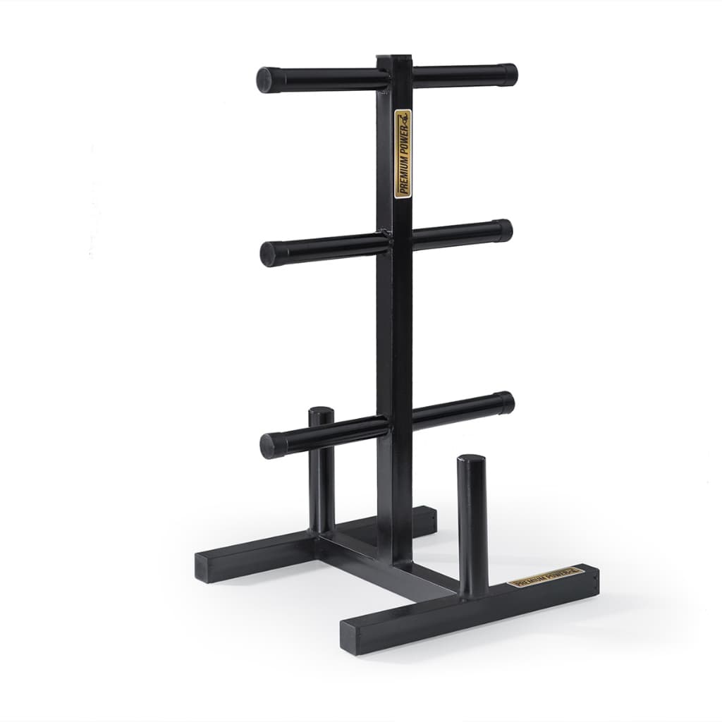 Suporte Para Anilhas e Barras Academia Casa Fit Organização Anilha Resistencia e Qualidade
