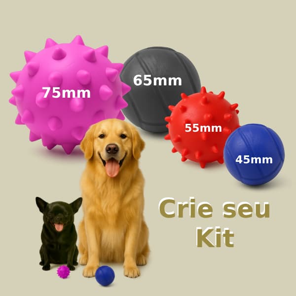 Brinquedo Bolinha Maciça para Cachorro Pet - Monte seu Kit com 2 Bolinhas Todos os portes